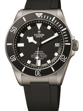 Tudor Pelagos In House